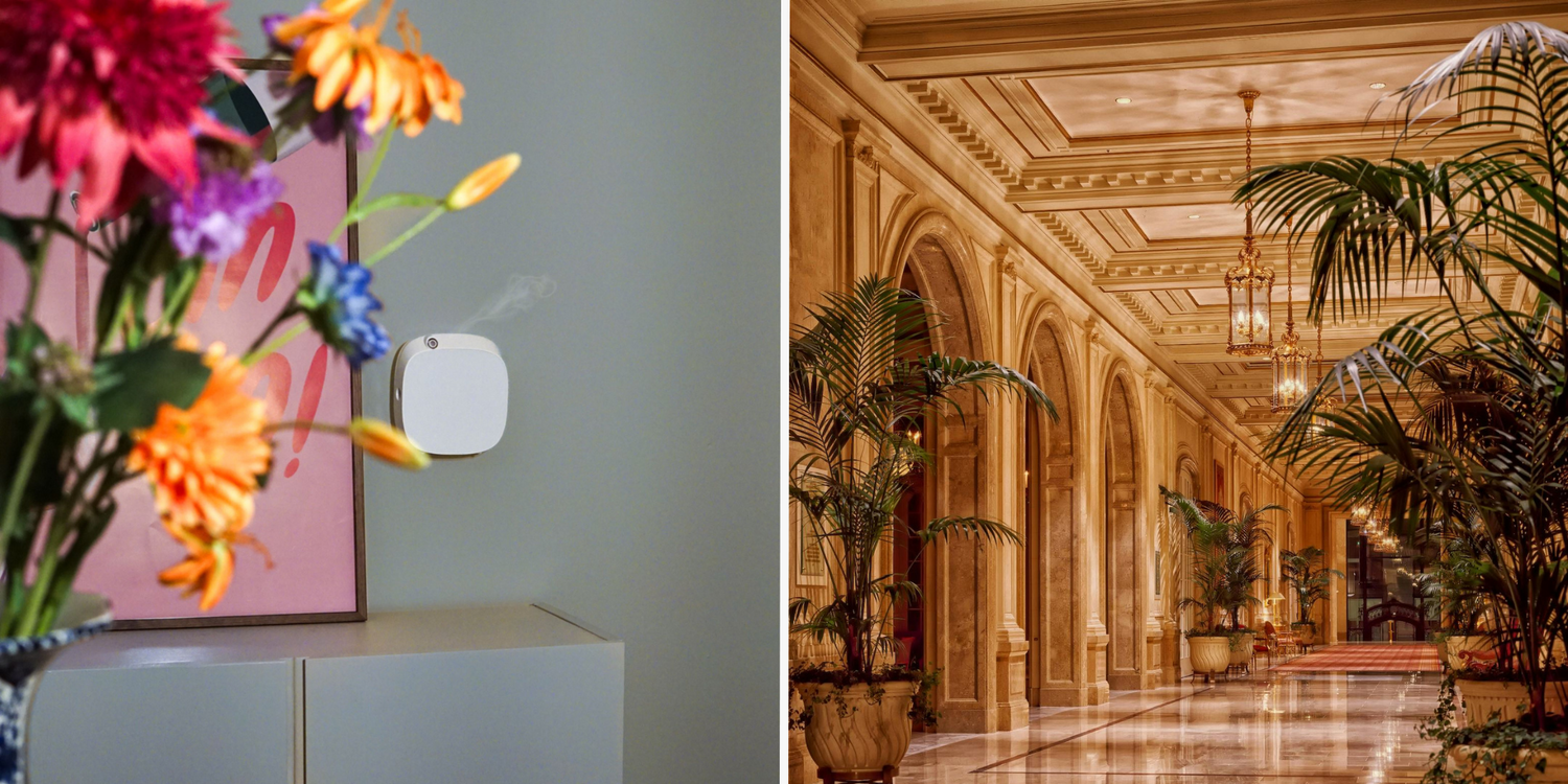 De reden dat luxe hotels zo lekker ruiken - en hoe jij dit thuis ook kunt creëren