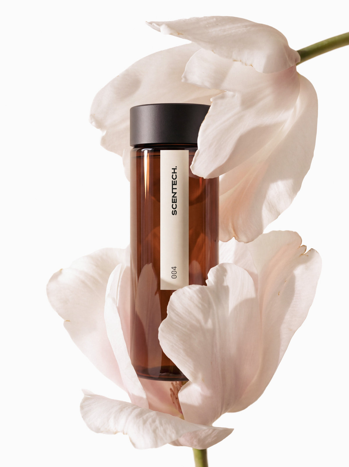 Sweet Bloom — sfeerbeeld 6