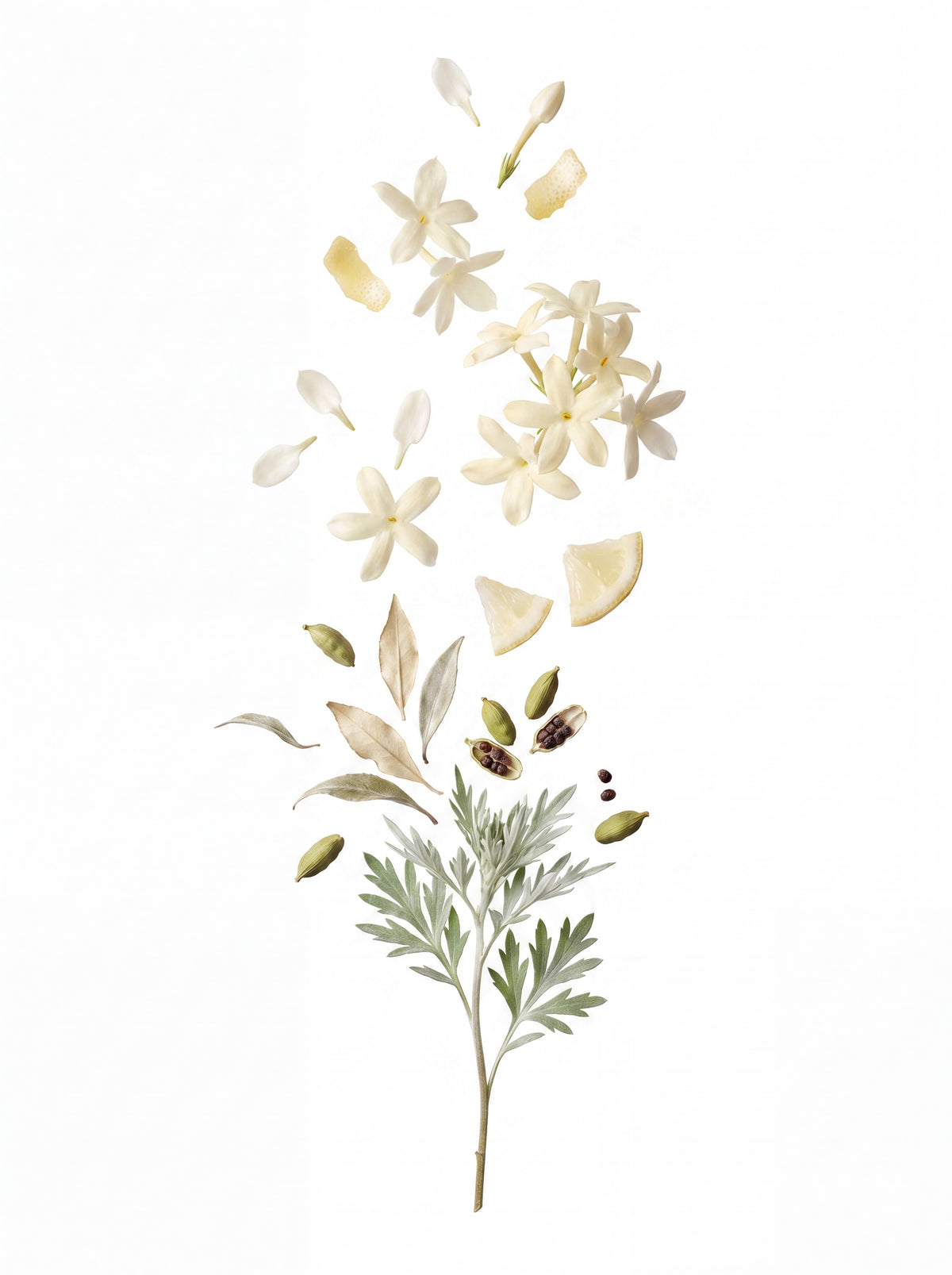 Soft Infusion — sfeerbeeld 3