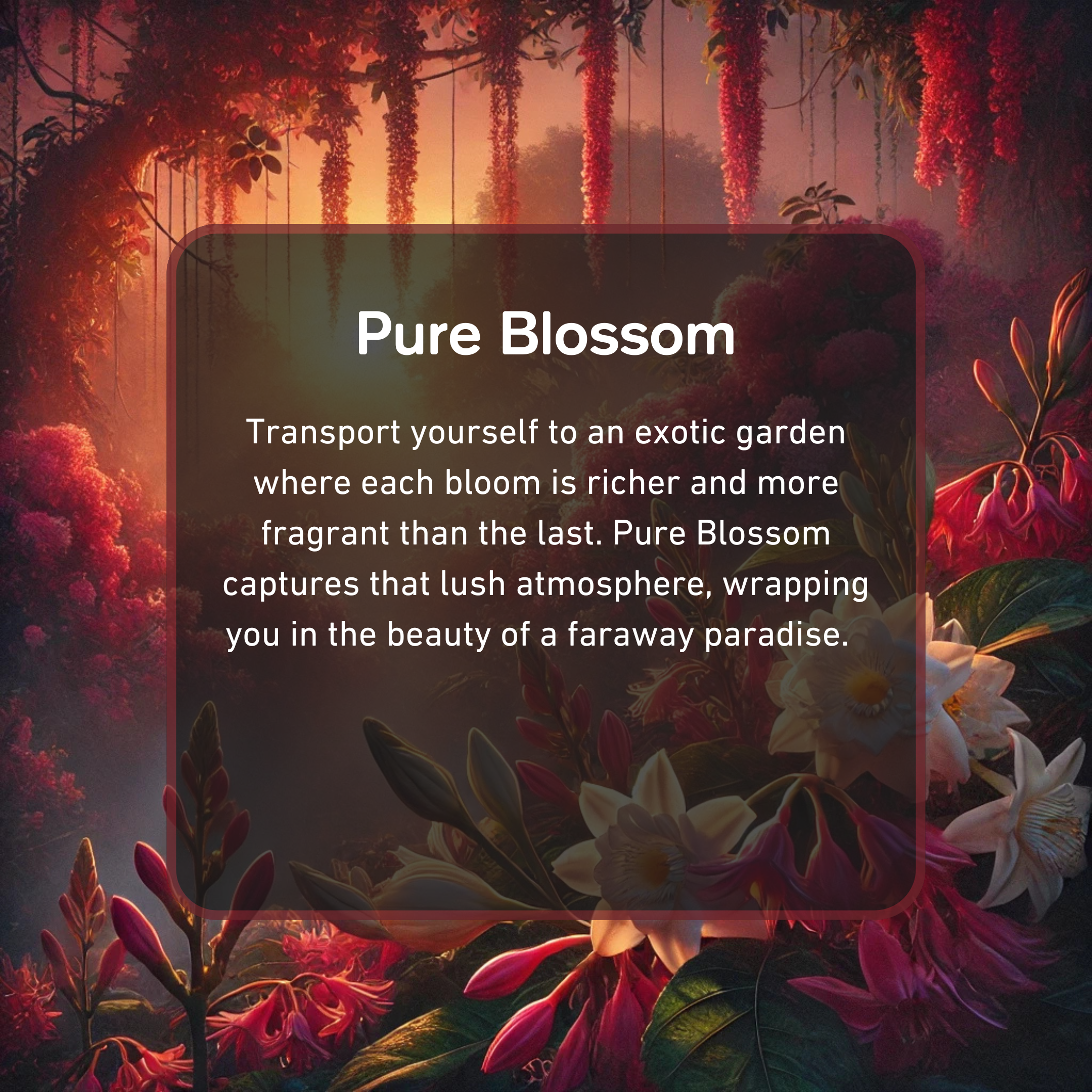 Pure Blossom