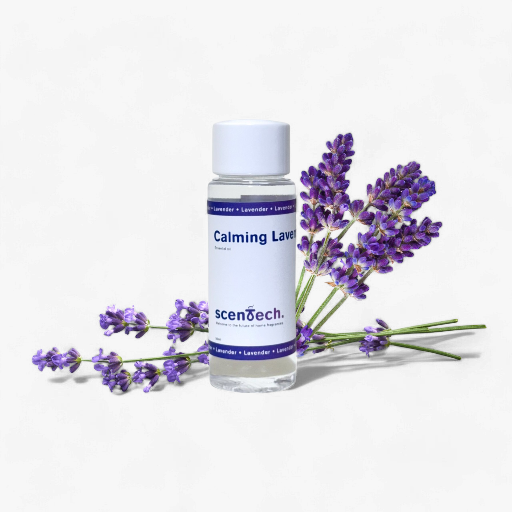 Calming Lavender