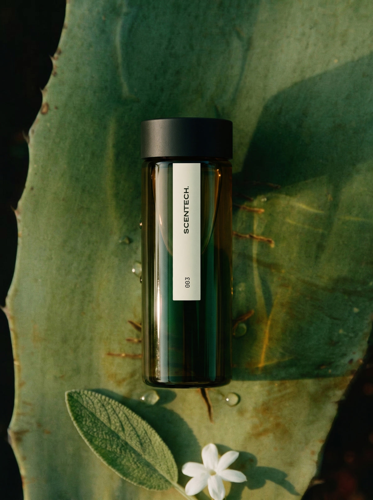 Dewy Green — sfeerbeeld 2
